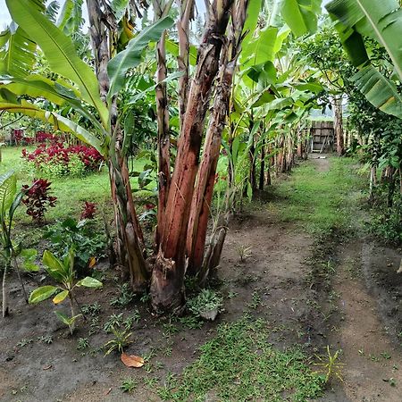 The Daun Puntik Homestay Pemenang Ngoại thất bức ảnh