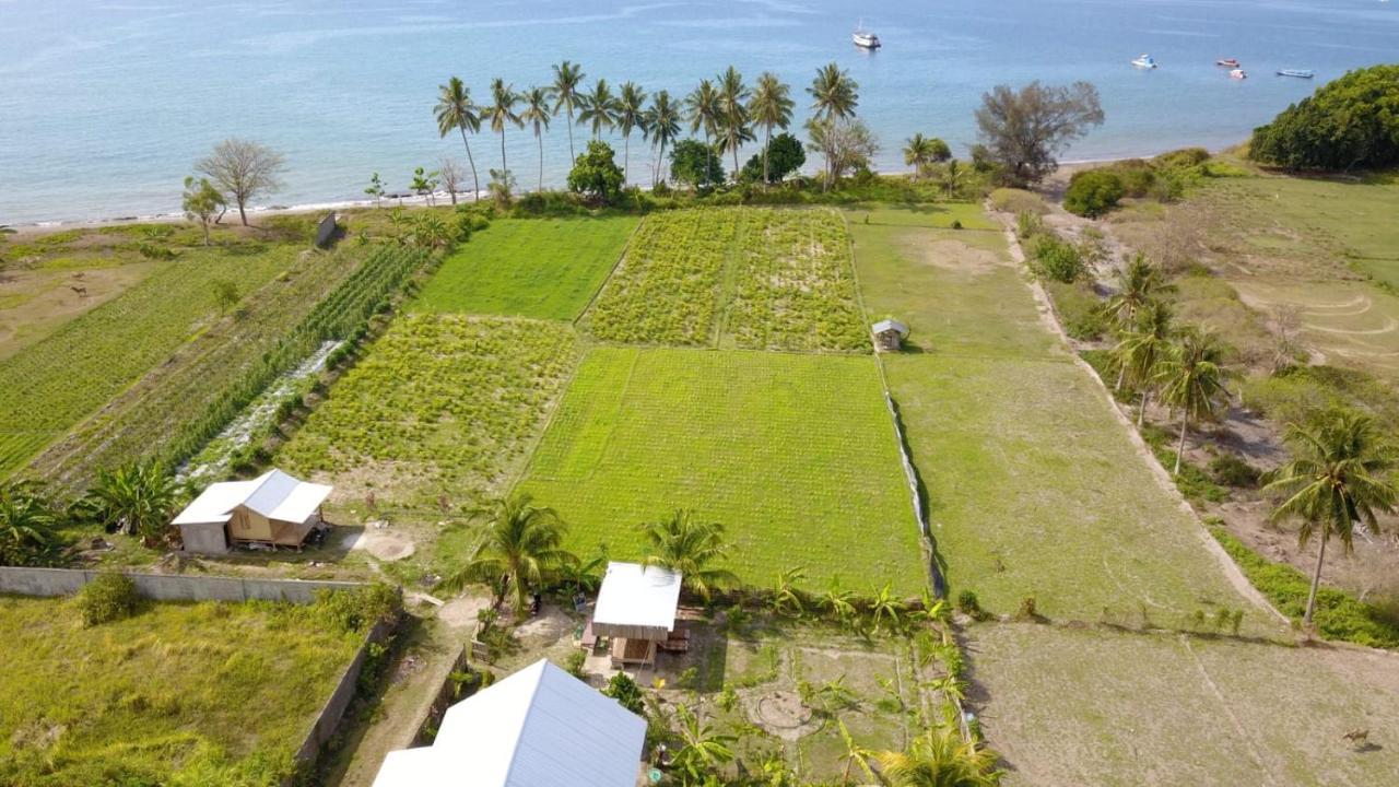 The Daun Puntik Homestay Pemenang Ngoại thất bức ảnh
