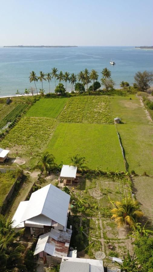The Daun Puntik Homestay Pemenang Ngoại thất bức ảnh