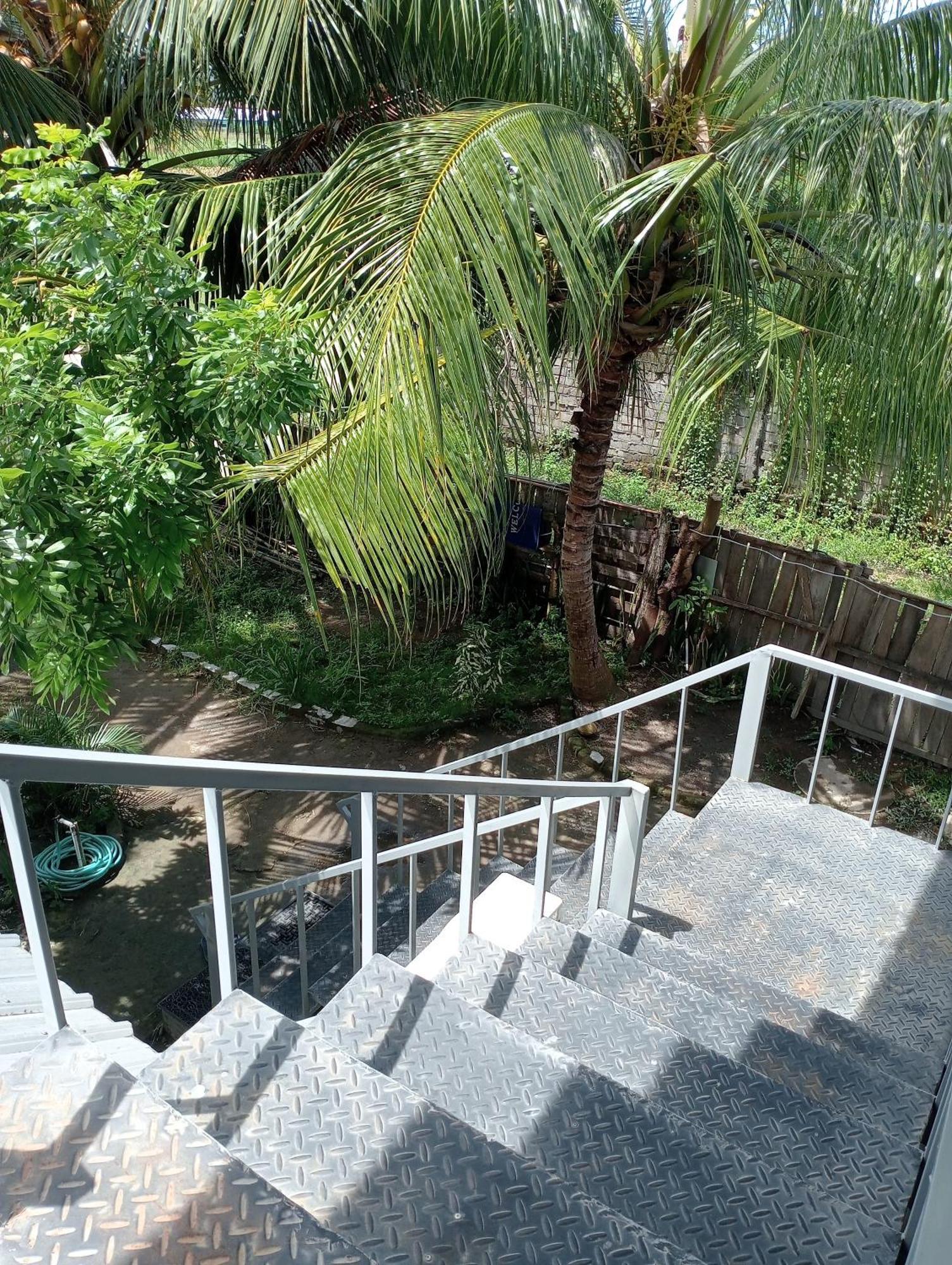 The Daun Puntik Homestay Pemenang Ngoại thất bức ảnh