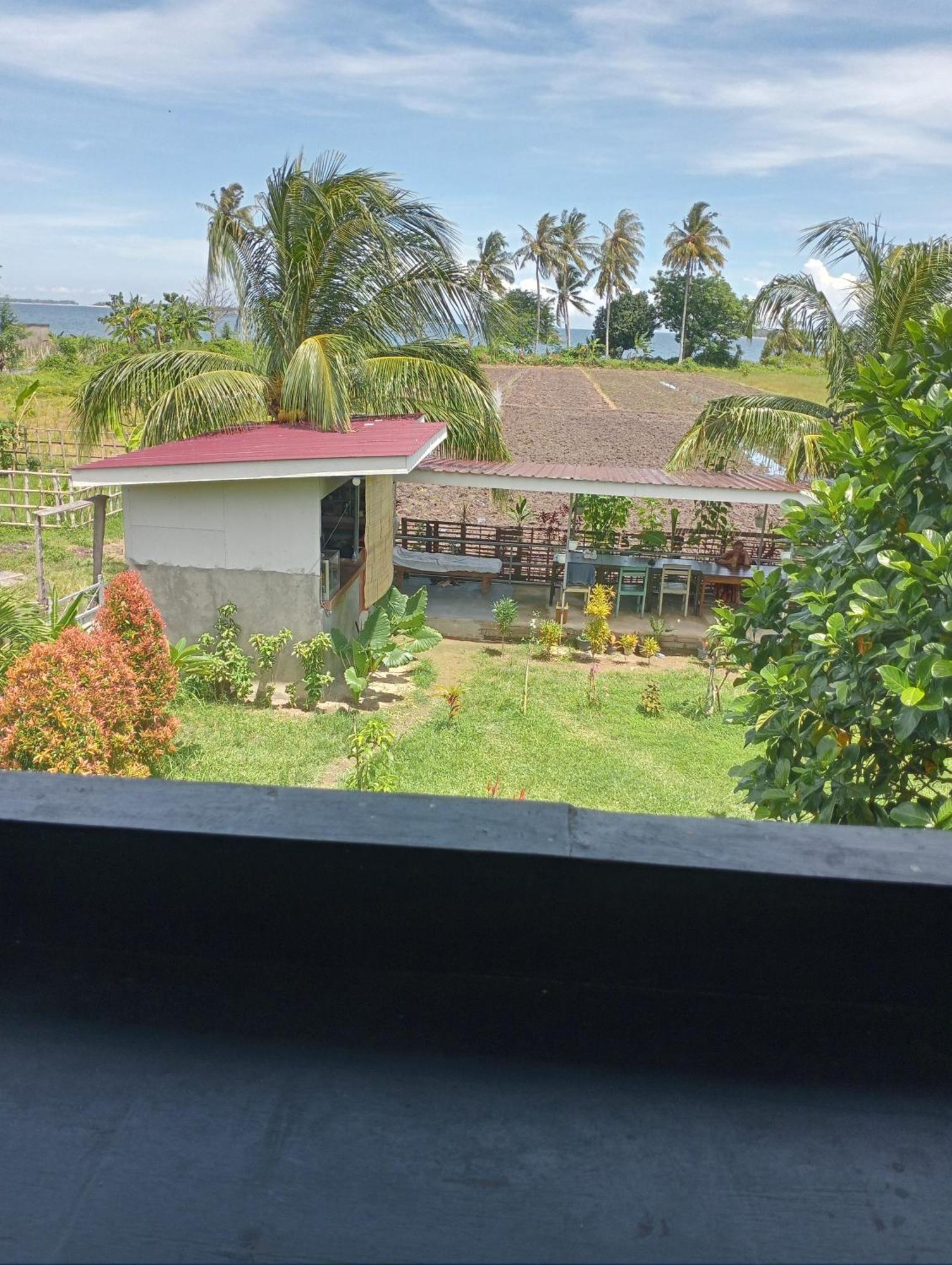 The Daun Puntik Homestay Pemenang Ngoại thất bức ảnh