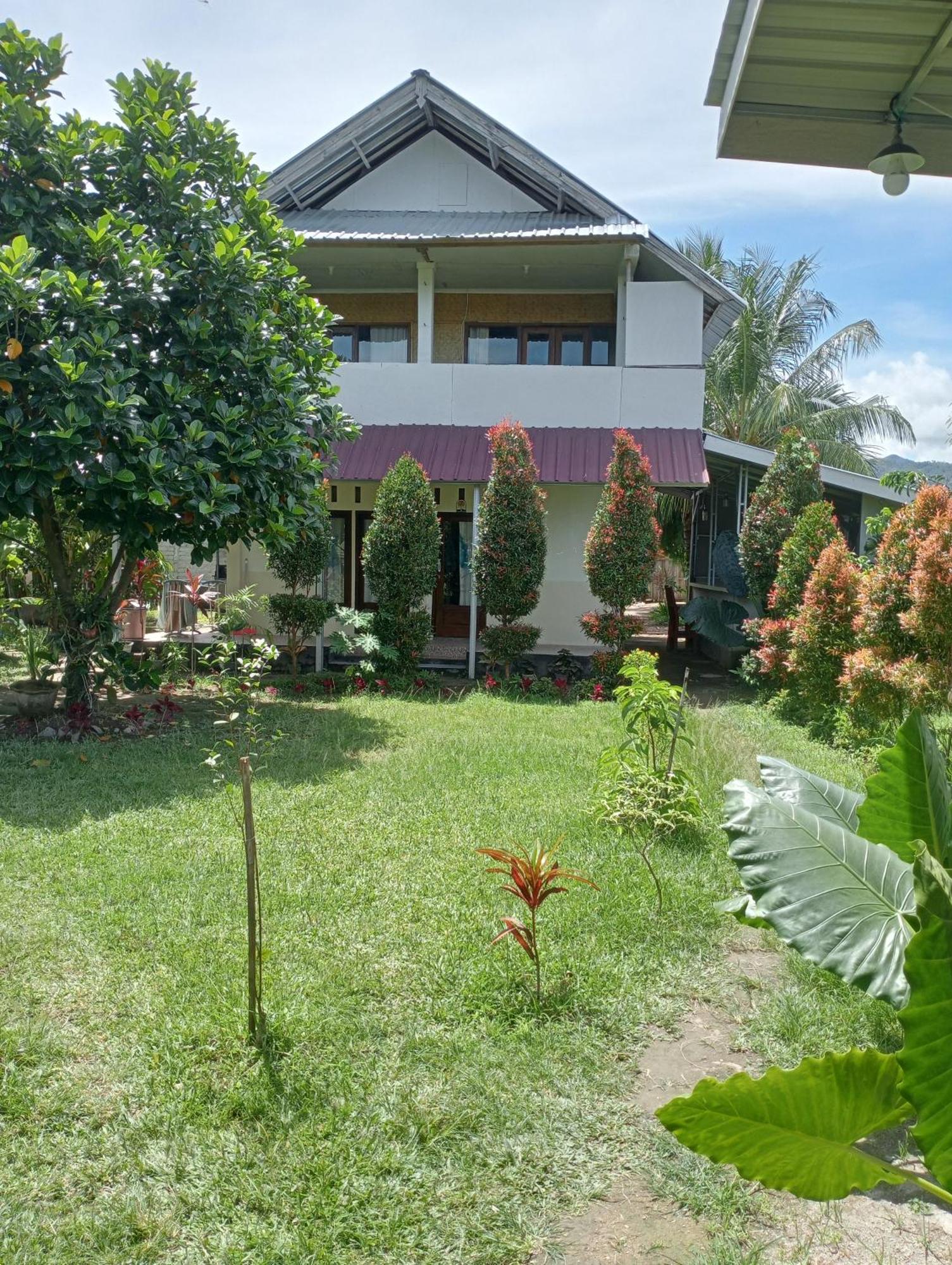 The Daun Puntik Homestay Pemenang Ngoại thất bức ảnh