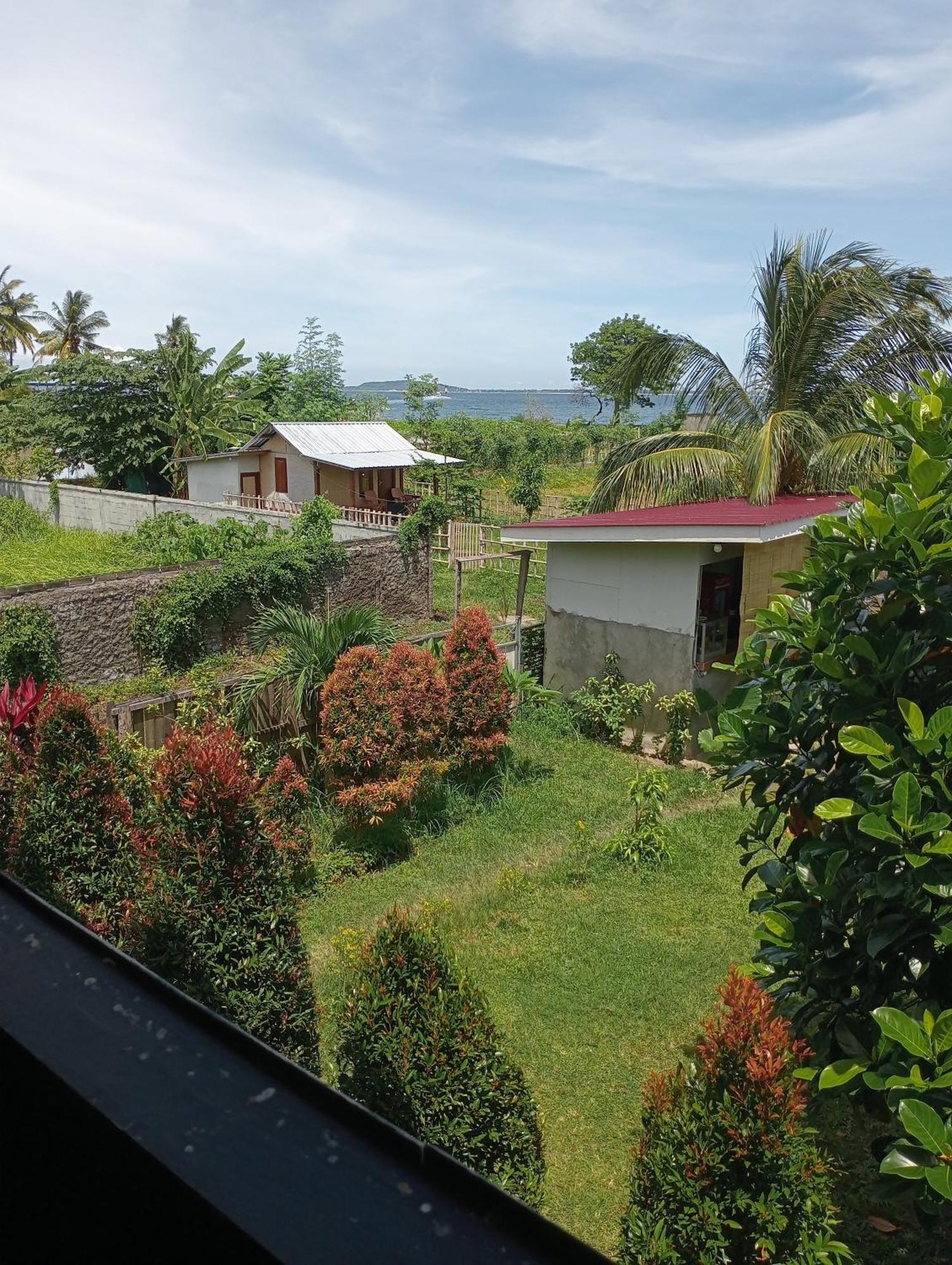 The Daun Puntik Homestay Pemenang Ngoại thất bức ảnh