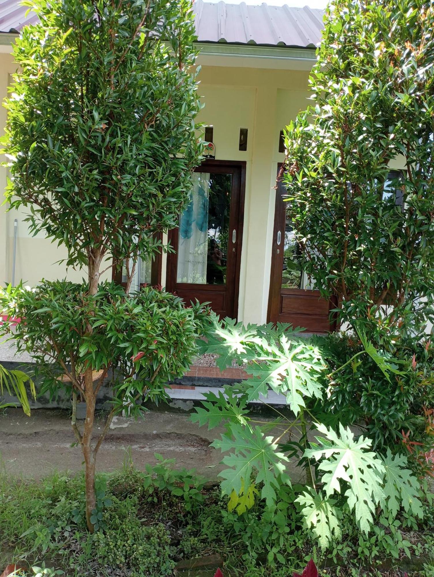 The Daun Puntik Homestay Pemenang Ngoại thất bức ảnh